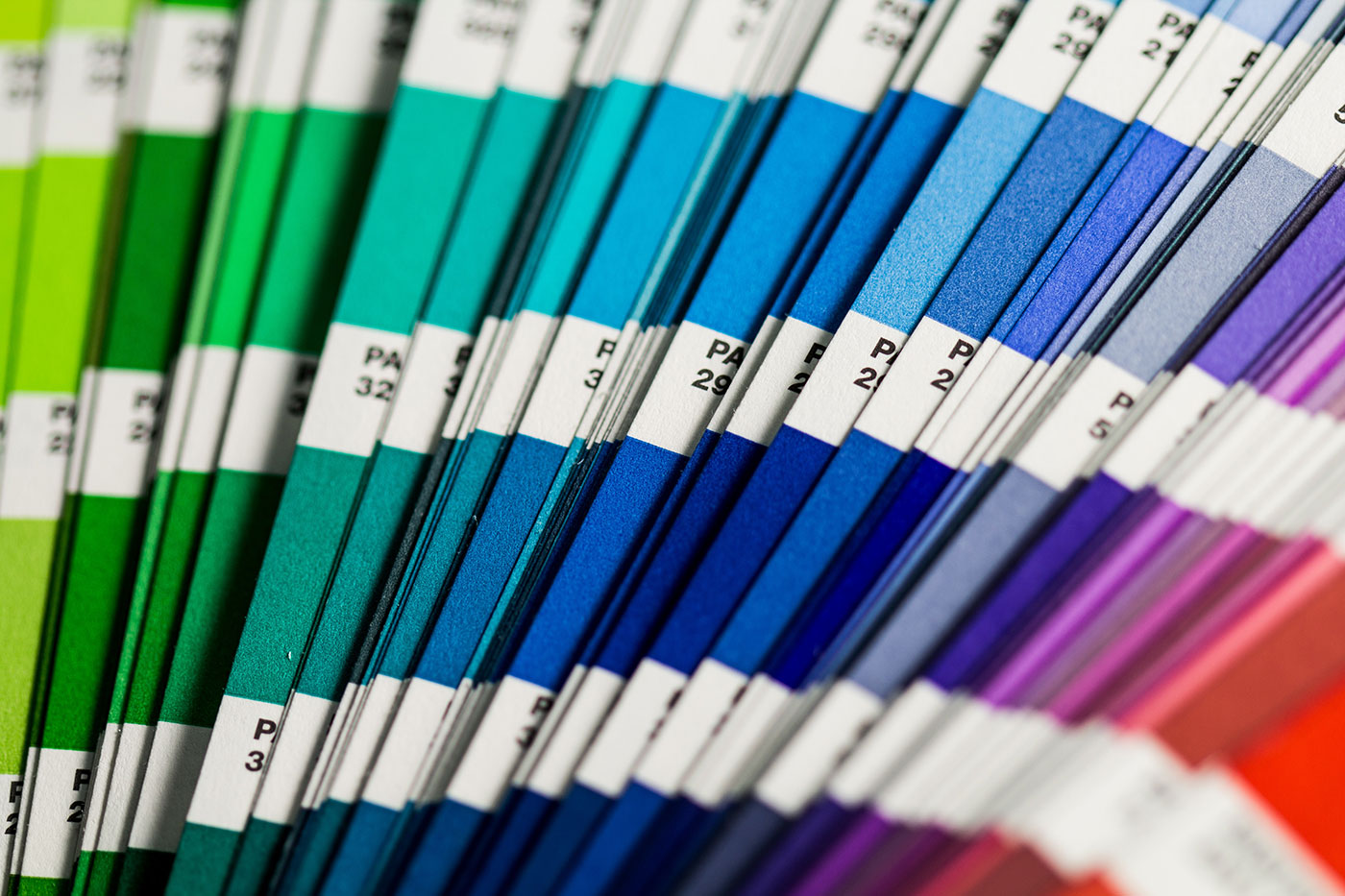 5 Must-Have Sales Collaterals for Small Business